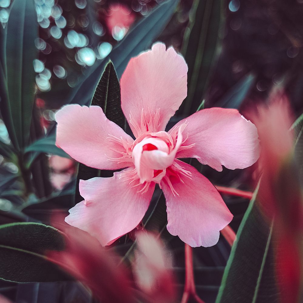 Photograph by Ярослав Старк