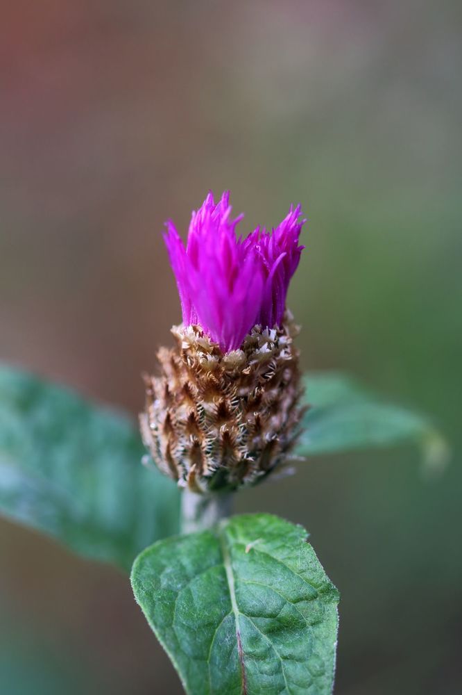 Photograph by Юрий Варюхин