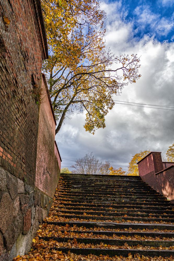 Photograph by Виталий Новиков