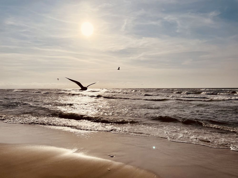 Фотография автора Camilly Kwaczynska