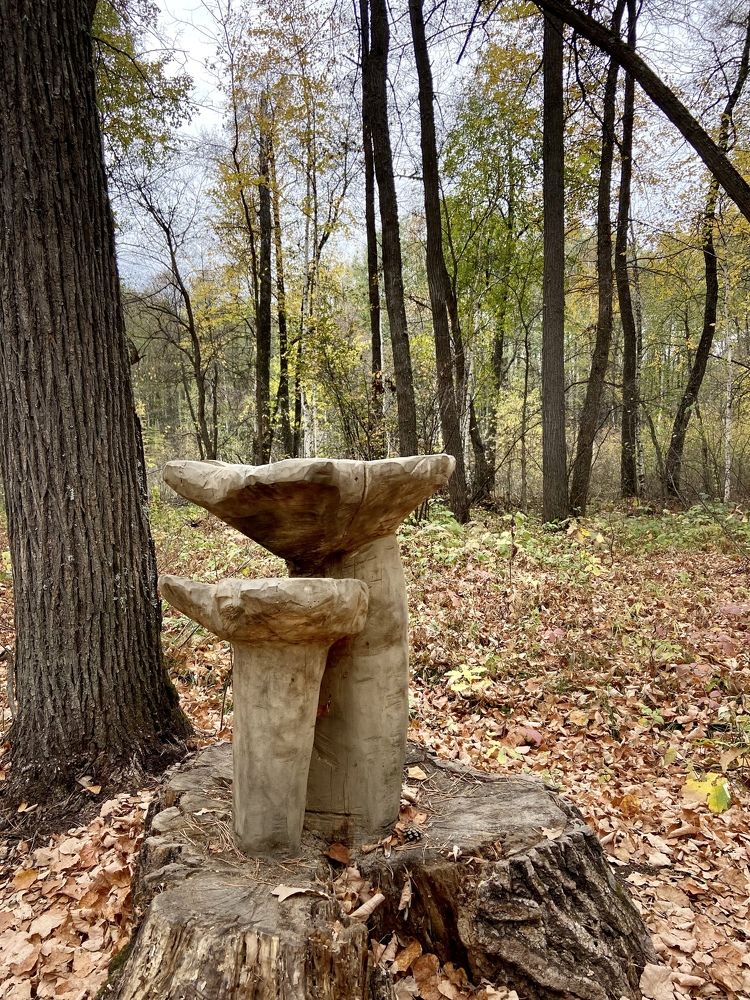 Photograph by Наталья Душакова