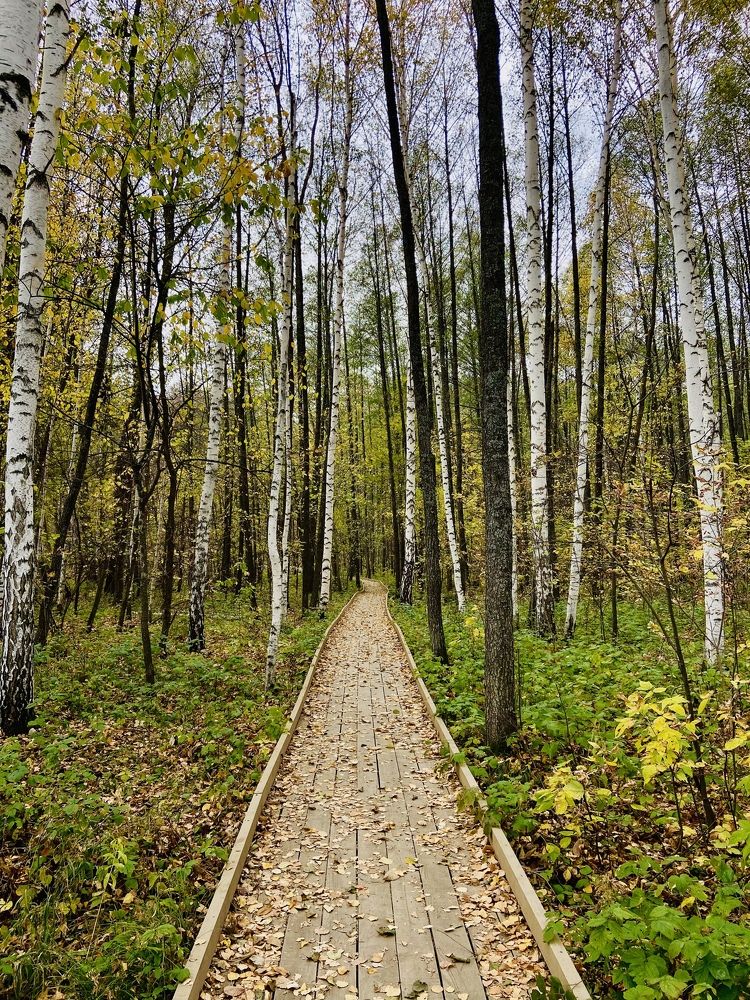 Photograph by Наталья Душакова