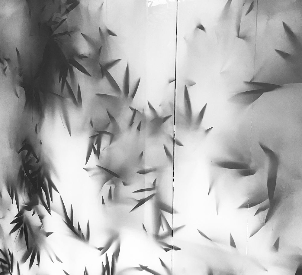 Фотография автора Camilly Kwaczynska