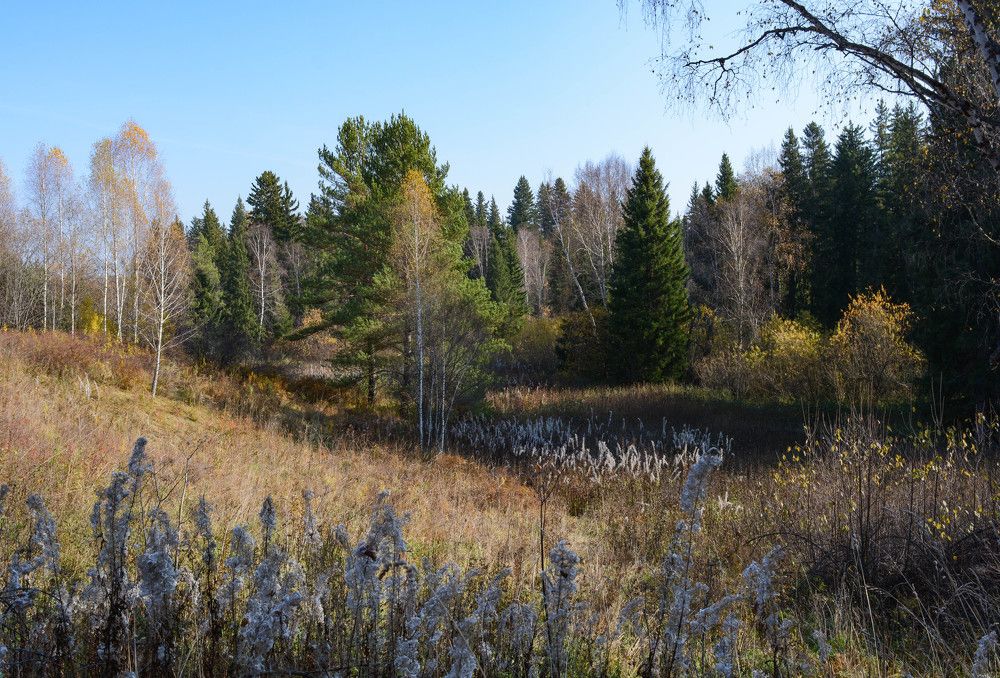 Photograph by Ирина Киевская