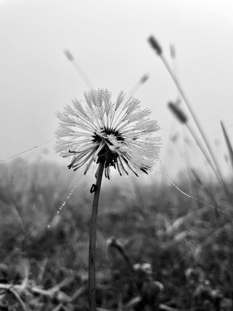 Фотография автора Camilly Kwaczynska