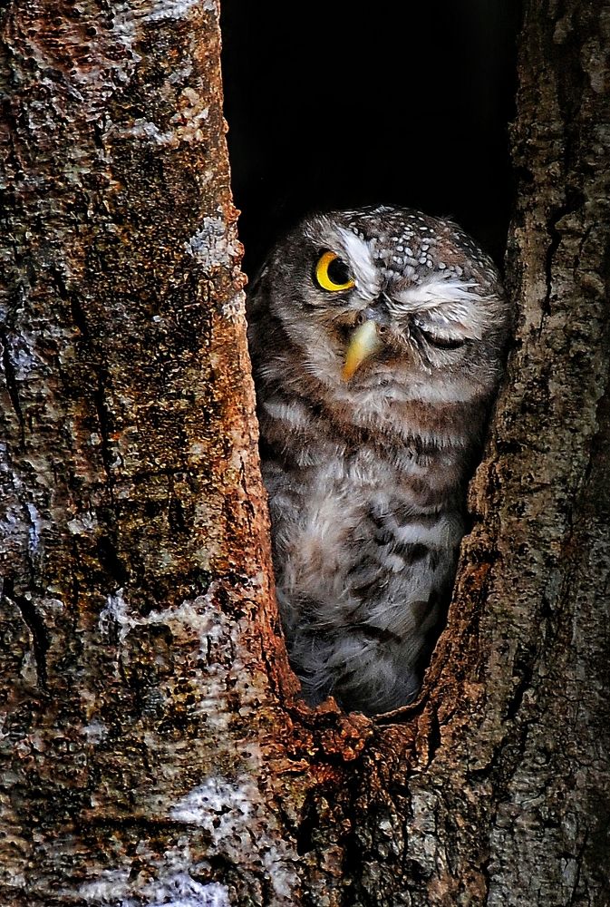 Photograph by George S George