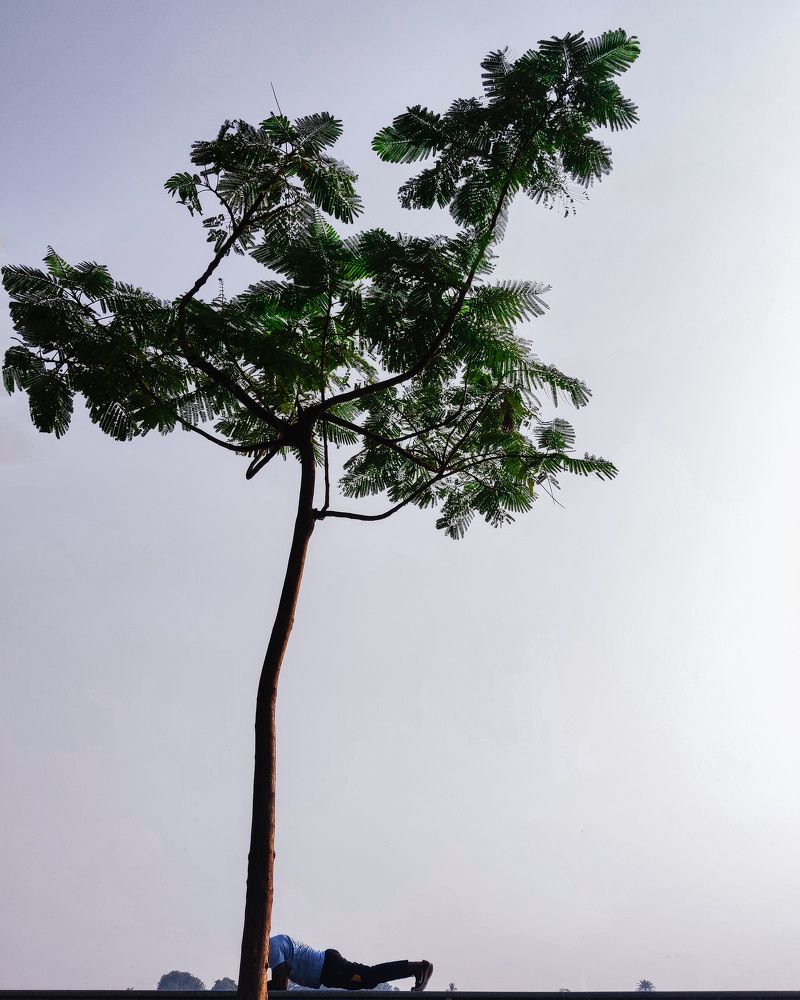 Winter morning in Ahmedabad