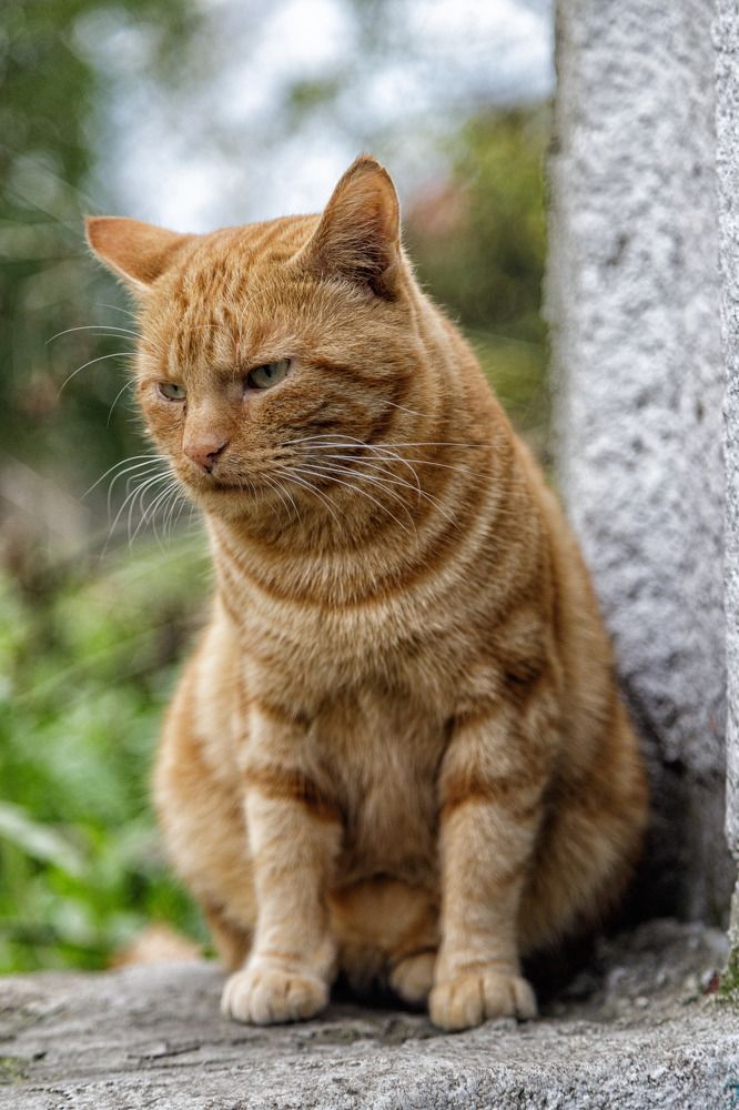 Photograph by Виталий Новиков