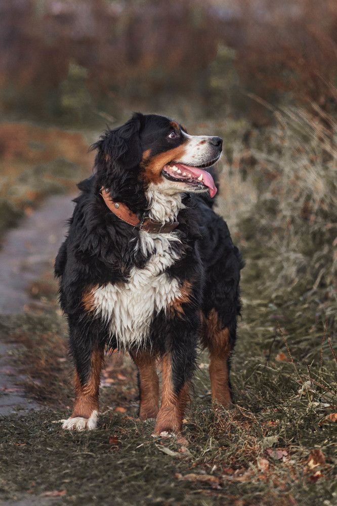 Photograph by Виталий Новиков