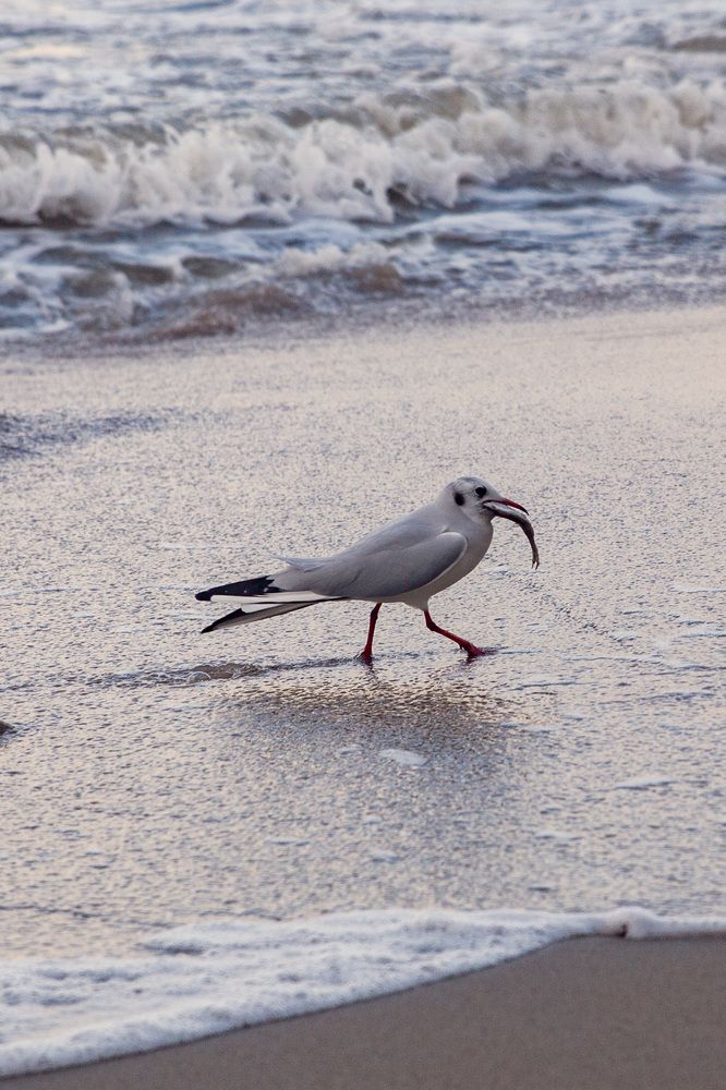 Photograph by Виталий Новиков