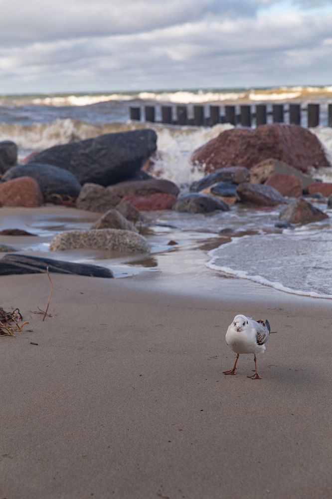 Фотография автора Виталий Новиков