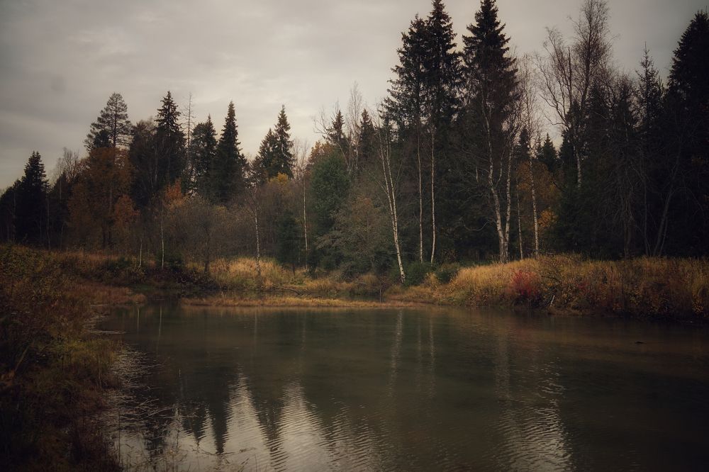 Photograph by Наталья Сережко