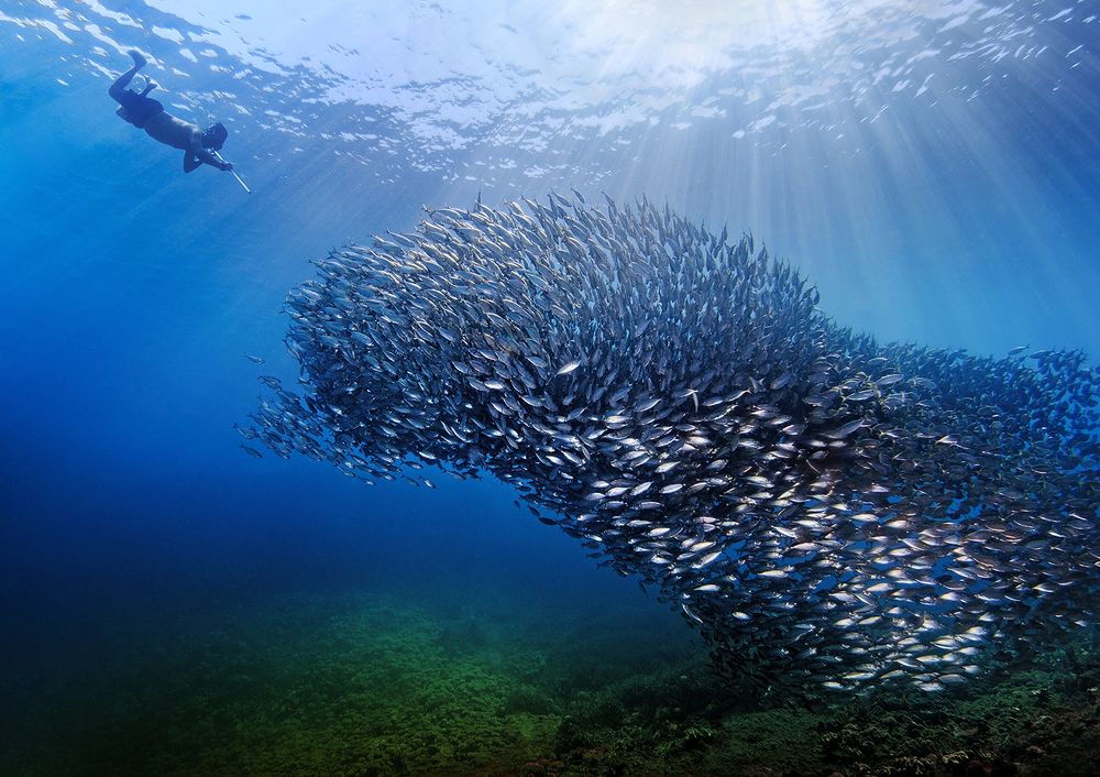 Jikomalamo Encounter