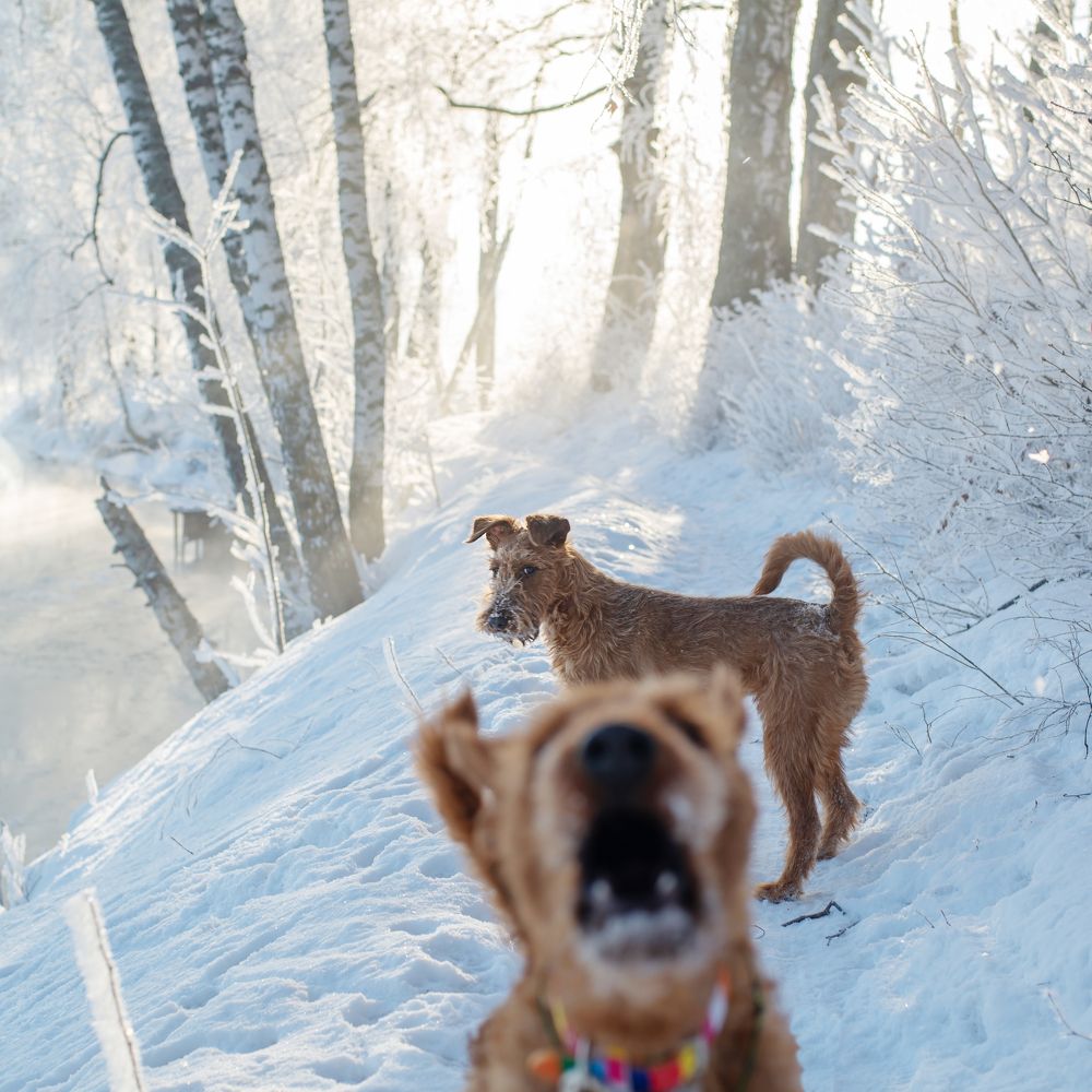 Photograph by Лебедева Ольга