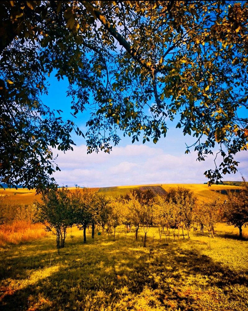 Photograph by Nikolett Mengyi