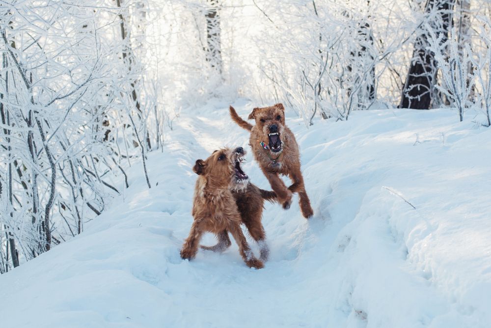 Photograph by Лебедева Ольга