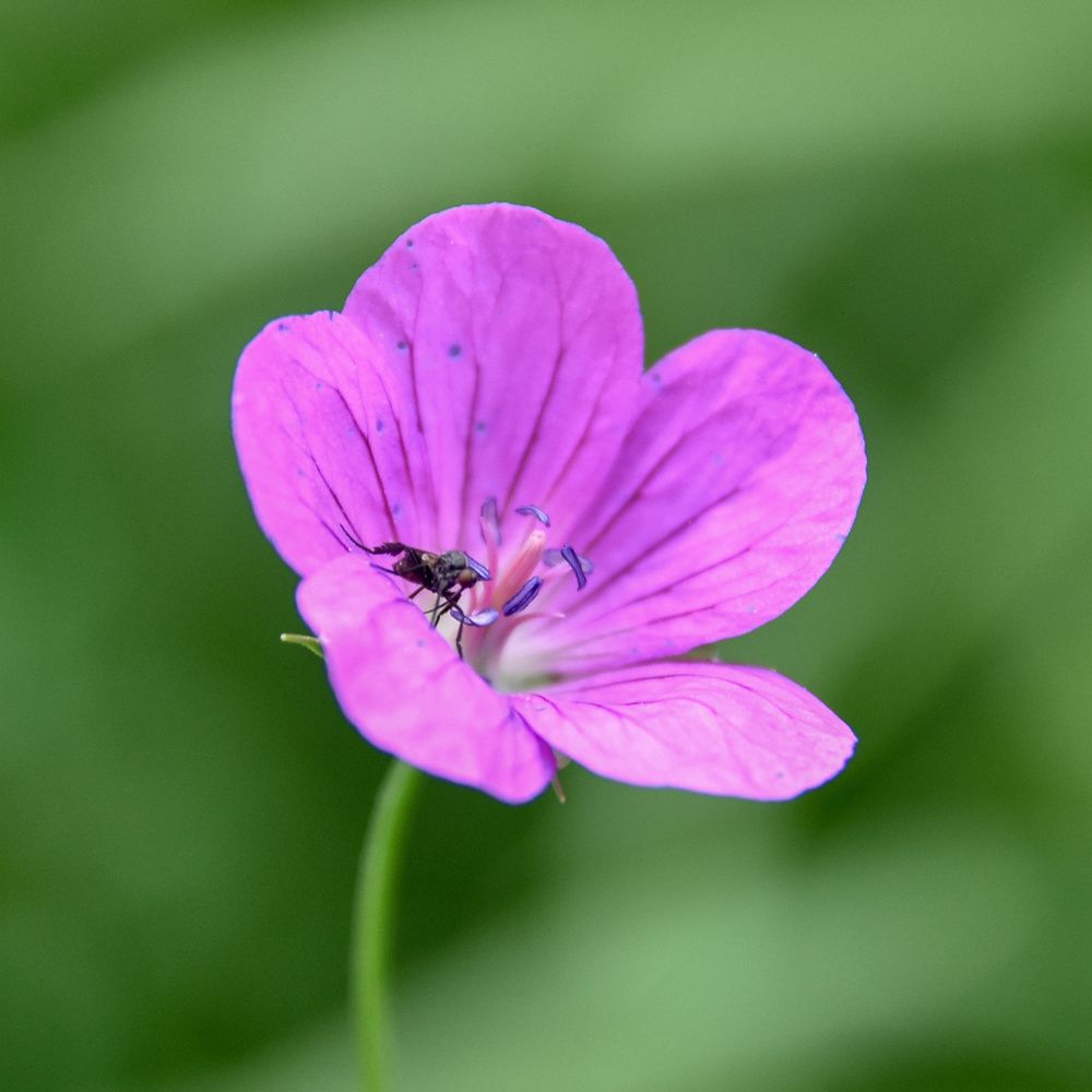 Photograph by Валерий Петухов