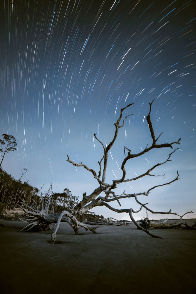 Photograph by Craig Boliver