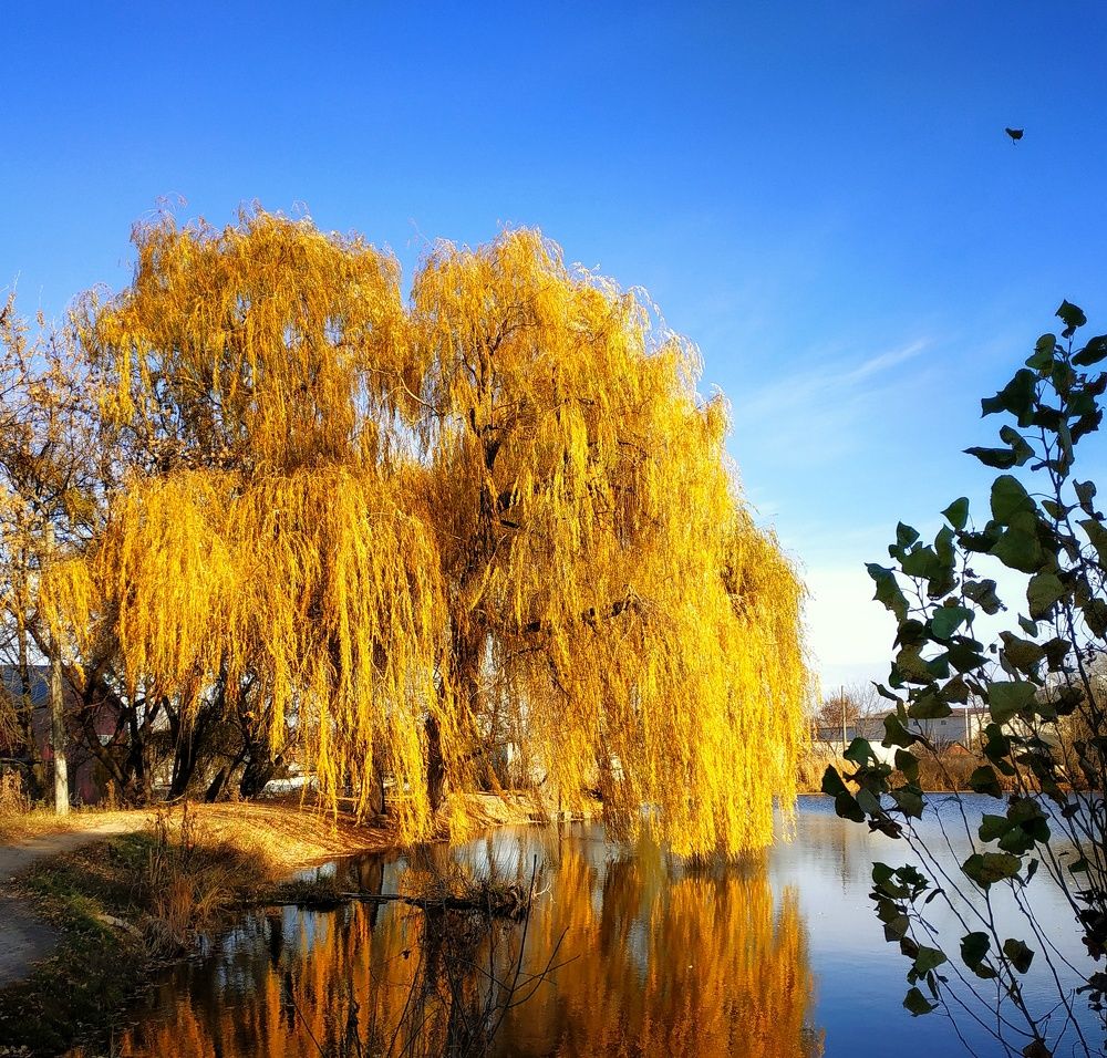 Photograph by Роман