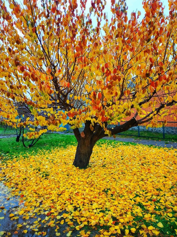 Photograph by Роман