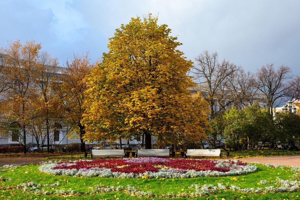 Photograph by Вячеслав Белов