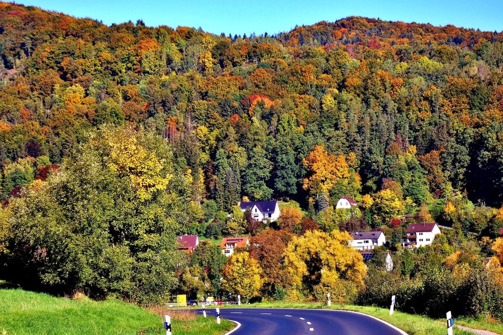 Photograph by backareva irina