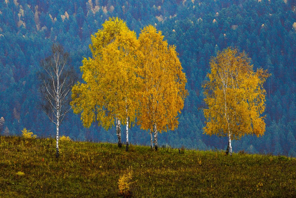 Photograph by Андрей Кузнецов