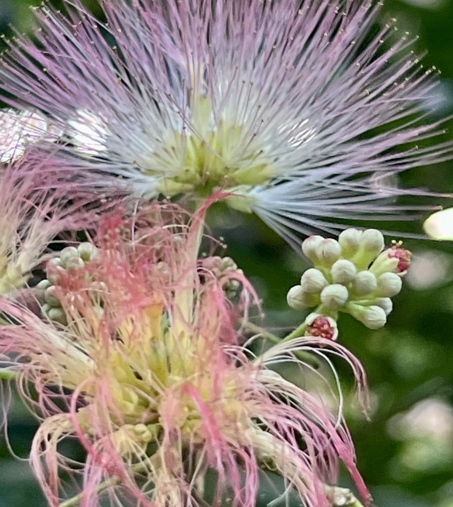 Photograph by Елена Мизина