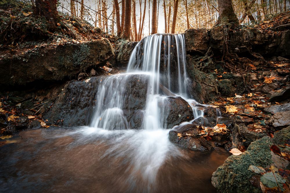 Photograph by Андрей Шаронов