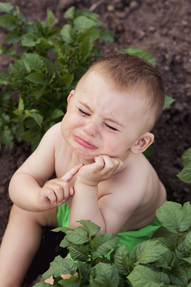 Photograph by Анна Шот