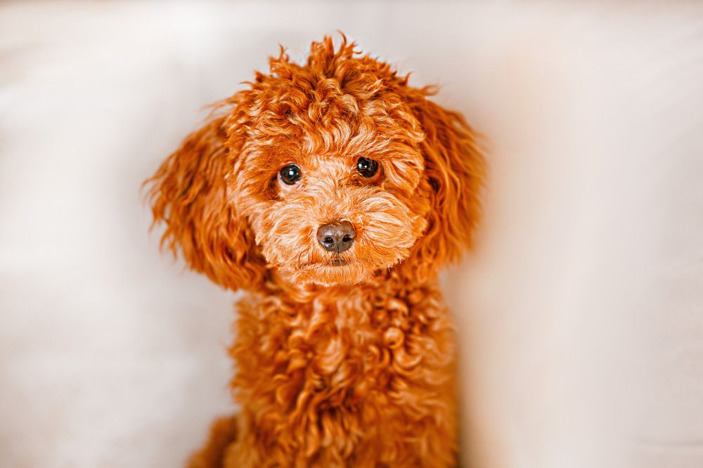 Photograph by Дмитрий Бровко