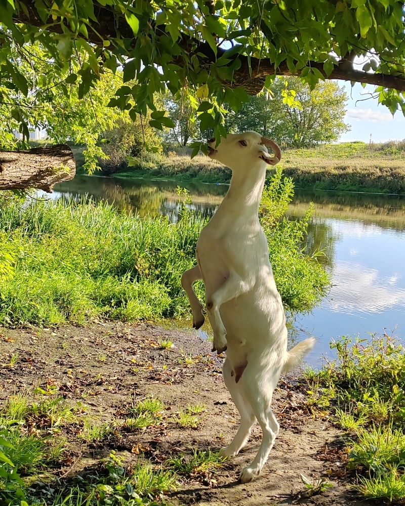 Фотография автора Татьяна Егорова