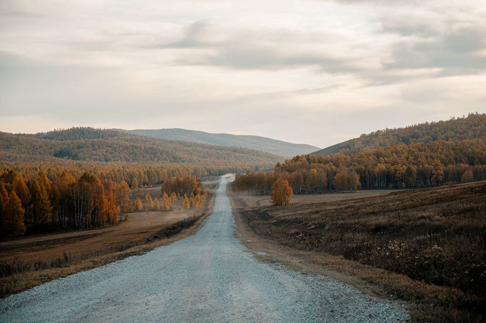 Photograph by Надежда Преминина