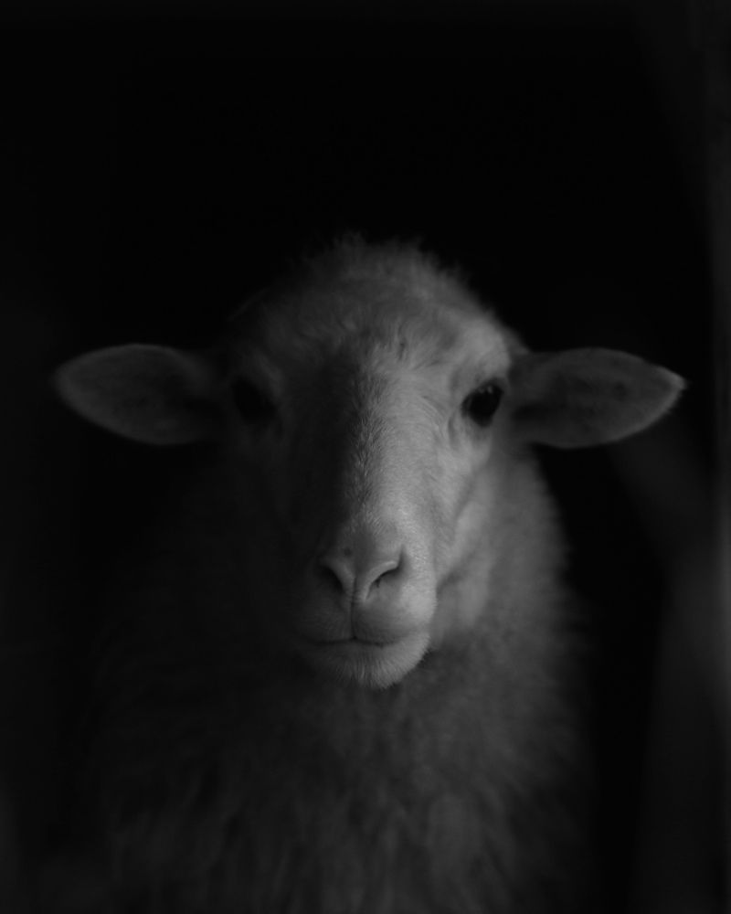 Photograph by Александр Затямин