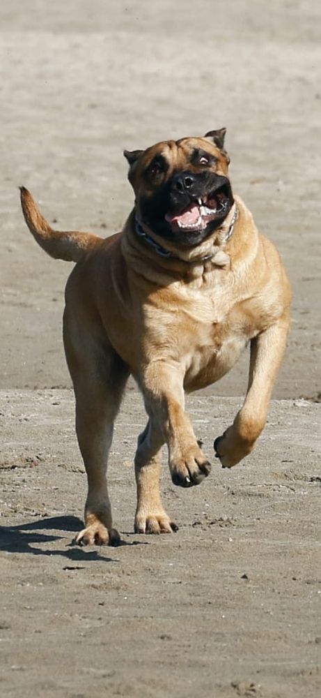 Photograph by Татьяна Исаева