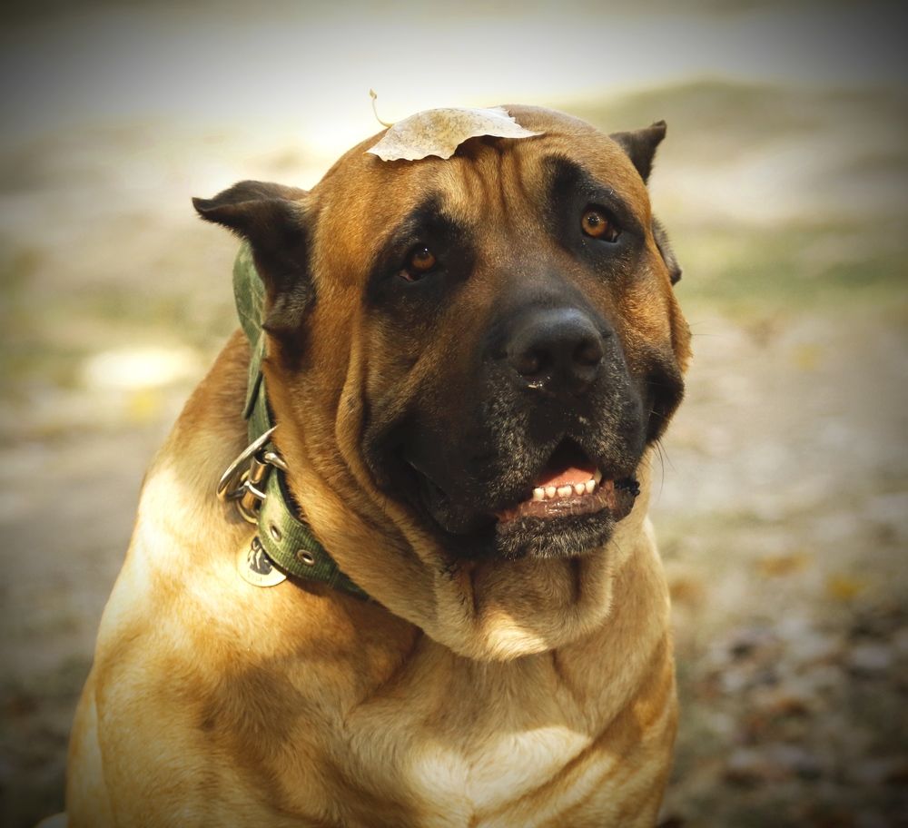 Photograph by Татьяна Исаева