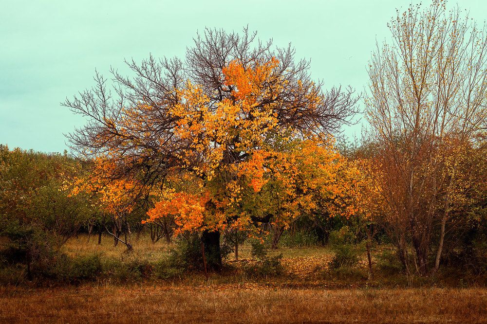 Photograph by Farzad Ajori