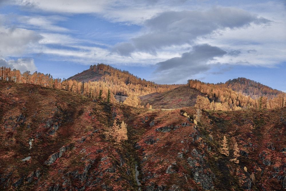 Photograph by Андрей Кузнецов