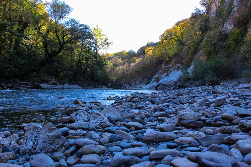 Photograph by Ирина Дмитриенко