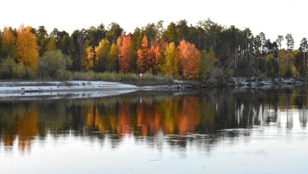 Река Пим осенью