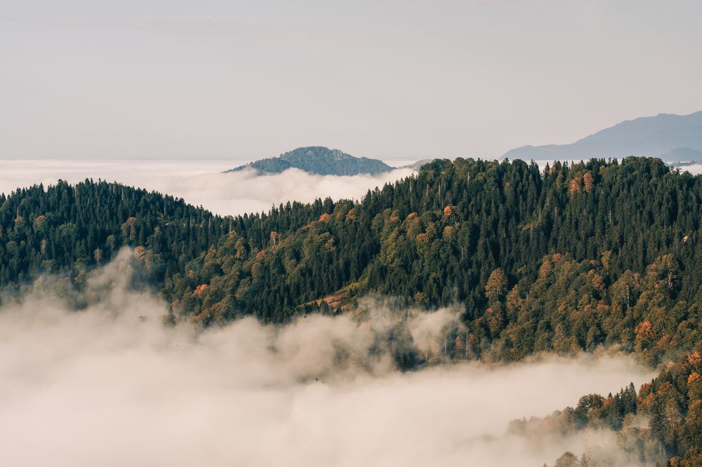 Photograph by mevlüt bilir