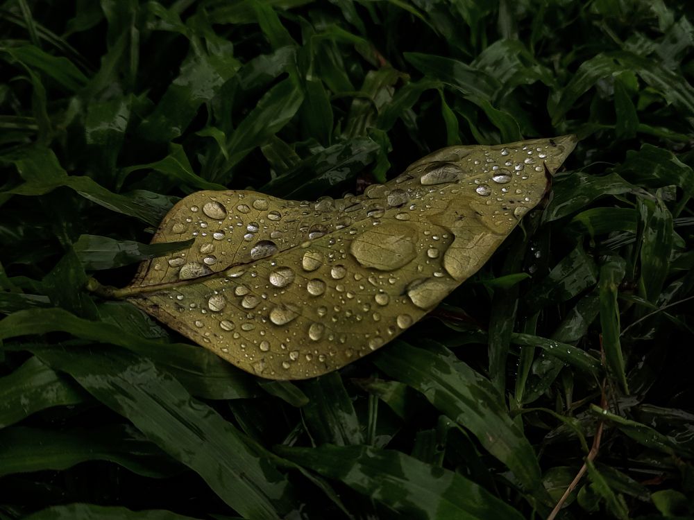 Photograph by MARK ANTHONY SANTOS