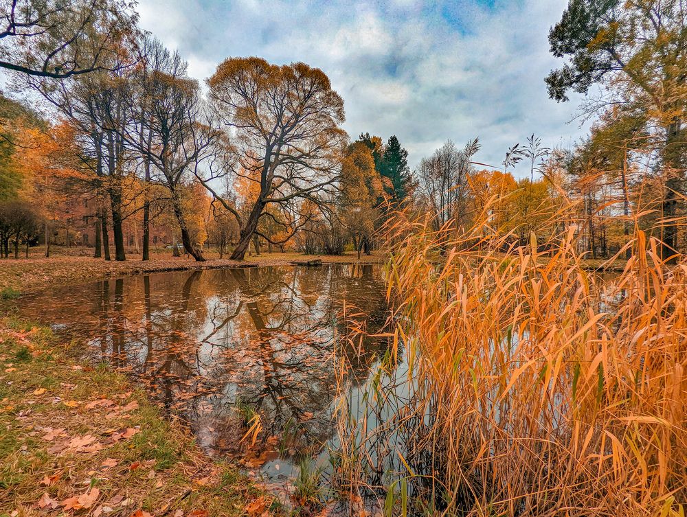 Photograph by Елизавета Коровина