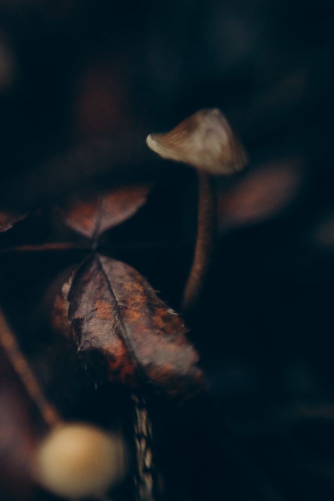 Photograph by Алевтина Горбаненко