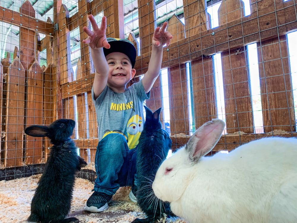 Photograph by Смунёв Виталий