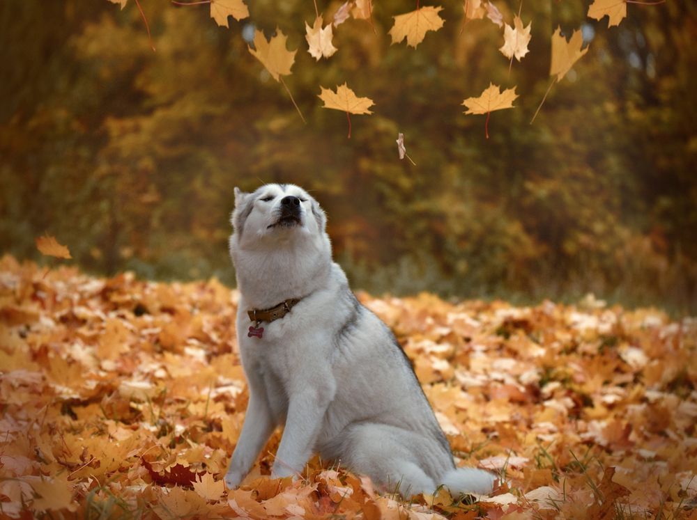 Photograph by Ирина Кленкова