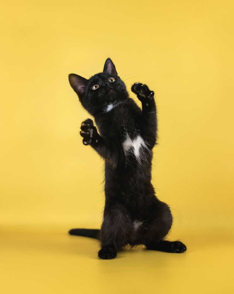 Photograph by Курашкина Анна