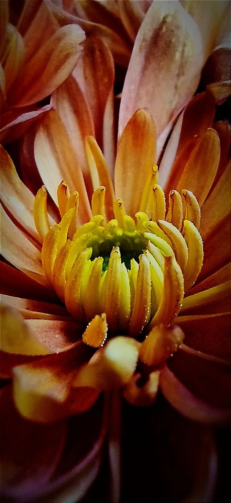 Photograph by Myrsini Charalampidou