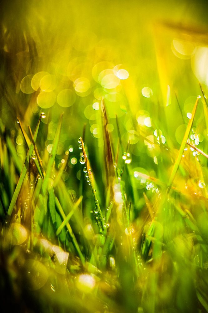 Photograph by Consuelo Sand