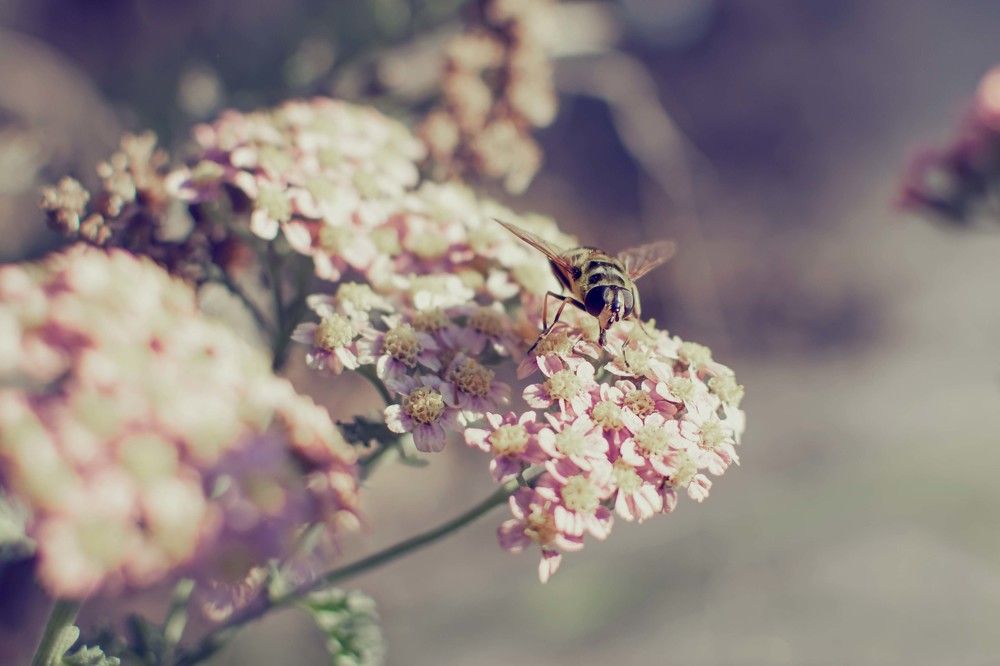 Photograph by Светлана Кочнева